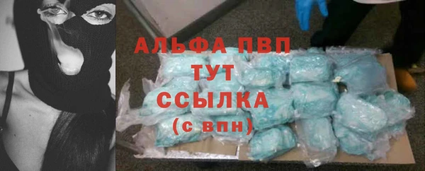 спайс Ладушкин
