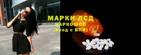 спайс Ладушкин