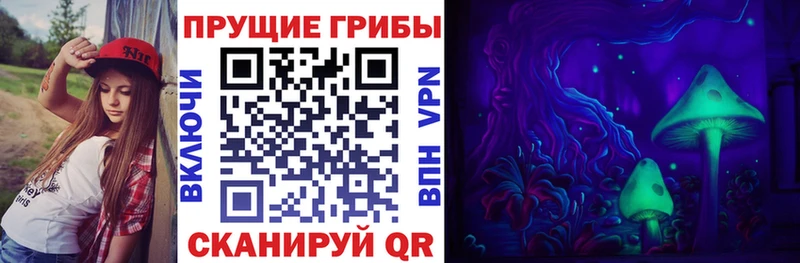 купить наркоту  Пересвет  Галлюциногенные грибы ЛСД 